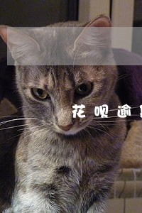 花呗逾期4000被告知要报案 花呗逾期4000被告知要报案