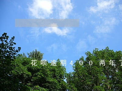 花呗逾期400两年了上征信吗 花呗逾期400两年了上征信吗