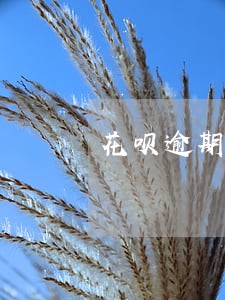 花呗逾期400打电话不接 花呗逾期400打电话不接