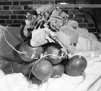 花呗逾期40多天打催收电话吗