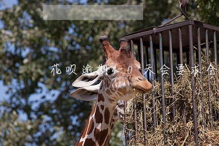 花呗逾期40天会要求全额还清吗 花呗逾期40天会要求全额还清吗