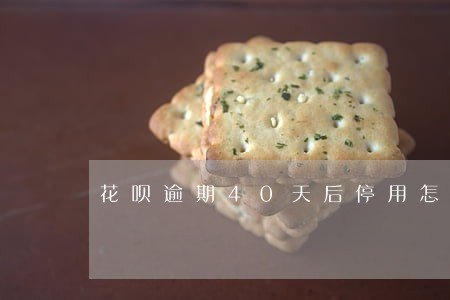 花呗逾期40天后停用怎么恢复 花呗逾期40天后停用怎么恢复