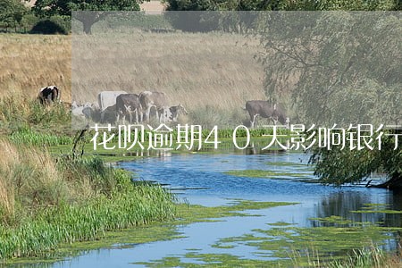 花呗逾期40天影响银行贷款吗 花呗逾期40天影响银行贷款吗
