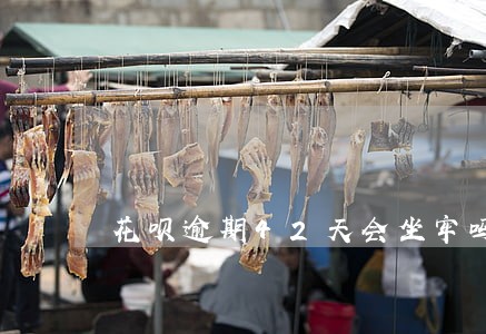 花呗逾期42天会坐牢吗