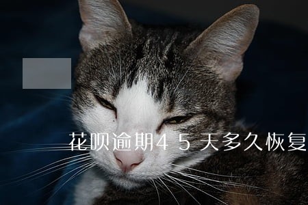 花呗逾期45天多久恢复 花呗逾期45天多久恢复