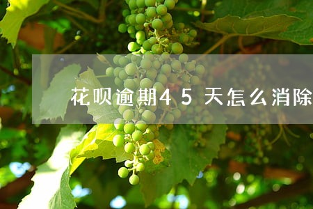 花呗逾期45天怎么消除 花呗逾期45天怎么消除