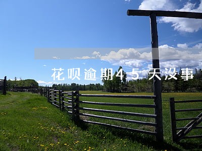 花呗逾期45天没事 花呗逾期45天没事