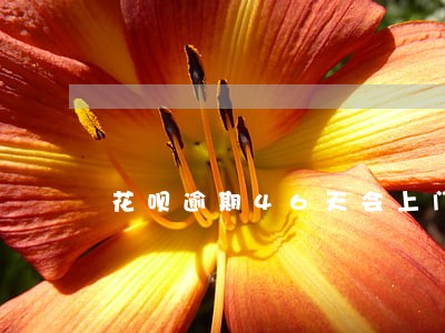 花呗逾期46天会上门吗 花呗逾期46天会上门吗