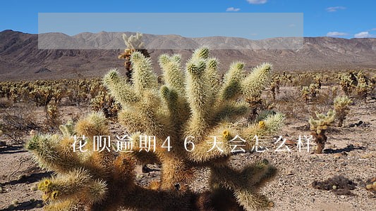 花呗逾期46天会怎么样 花呗逾期46天会怎么样