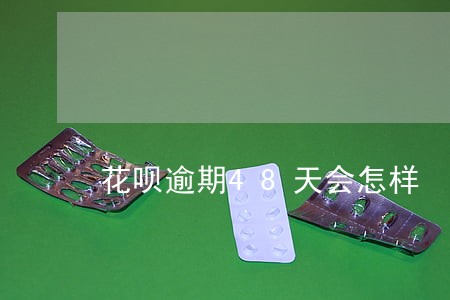 花呗逾期48天会怎样