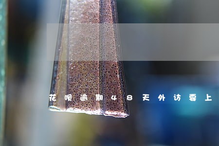 花呗逾期48天外访要上门 花呗逾期48天外访要上门