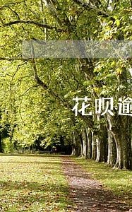 花呗逾期4个月会扣多少芝麻分 花呗逾期4个月会扣多少芝麻分