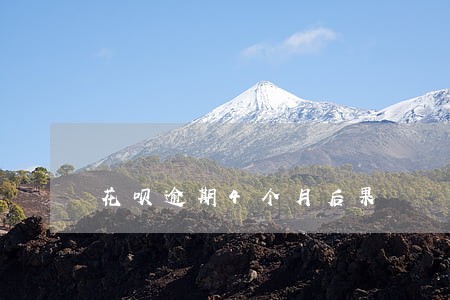 花呗逾期4个月后果 花呗逾期4个月后果