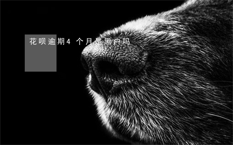 花呗逾期4个月是黑户吗 花呗逾期4个月是黑户吗