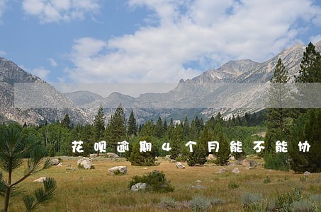 花呗逾期4个月能不能协商 花呗逾期4个月能不能协商
