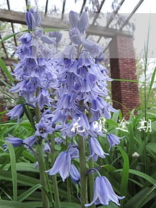 花呗逾期4个月还了当前账单 花呗逾期4个月还了当前账单