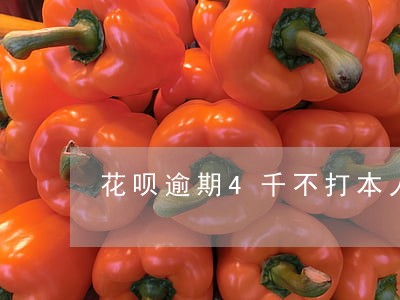 花呗逾期4千不打本人打朋友