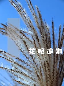 花呗逾期4千会上门吗 花呗逾期4千会上门吗