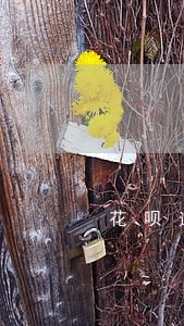 花呗逾期4天了什么时候能恢复