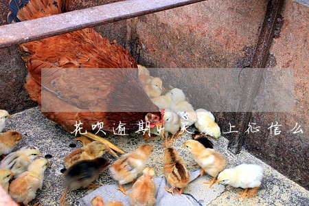 花呗逾期4天会上征信么 花呗逾期4天会上征信么