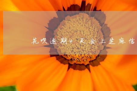 花呗逾期4天会上芝麻信用吗 花呗逾期4天会上芝麻信用吗