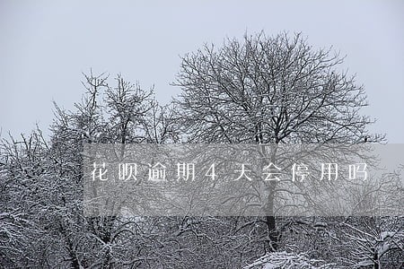 花呗逾期4天会停用吗 花呗逾期4天会停用吗