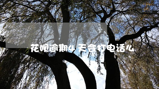 花呗逾期4天会打电话么 花呗逾期4天会打电话么