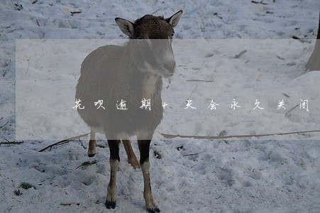 花呗逾期4天会永久关闭吗 花呗逾期4天会永久关闭吗
