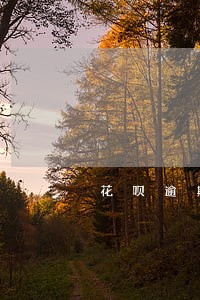 花呗逾期4天会降额度吗 花呗逾期4天会降额度吗