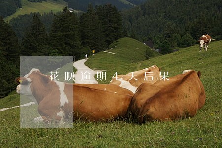 花呗逾期4天后果 花呗逾期4天后果