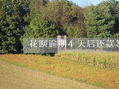 花呗逾期4天后还款怎么恢复花呗 花呗逾期4天后还款怎么恢复花呗