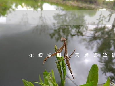 花呗逾期4天后还款被冻结怎么办