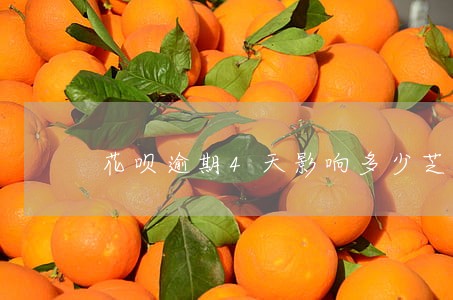 花呗逾期4天影响多少芝麻分