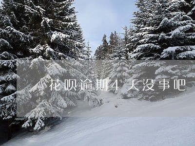 花呗逾期4天没事吧 花呗逾期4天没事吧