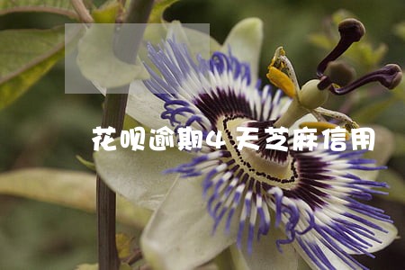 花呗逾期4天芝麻信用 花呗逾期4天芝麻信用