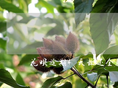 花呗逾期4天让还全款 花呗逾期4天让还全款