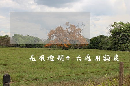 花呗逾期4天通用额度 花呗逾期4天通用额度