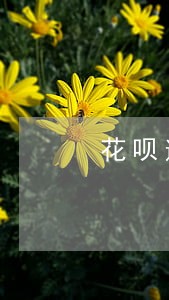 花呗逾期4年还上了多久恢复征信 花呗逾期4年还上了多久恢复征信
