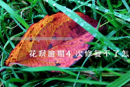 花呗逾期4次修复不了怎么办 花呗逾期4次修复不了怎么办