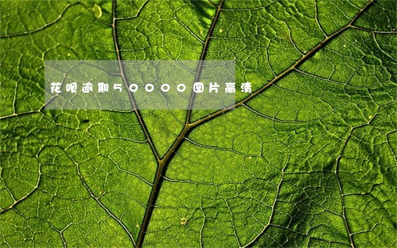 花呗逾期50000图片高清 花呗逾期50000图片高清