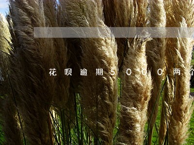花呗逾期5000两个月会上门 花呗逾期5000两个月会上门