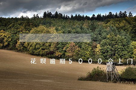 花呗逾期5000会上门要吗 花呗逾期5000会上门要吗