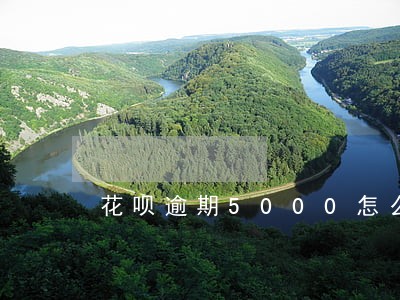 花呗逾期5000怎么算 花呗逾期5000怎么算