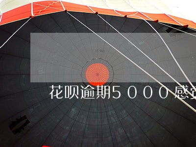 花呗逾期5000感觉还不起 花呗逾期5000感觉还不起