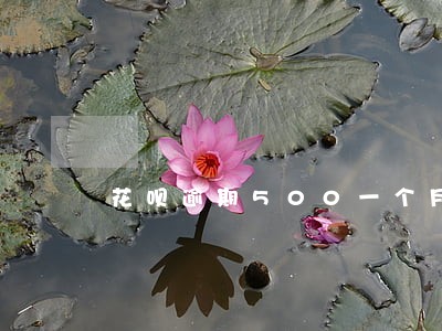 花呗逾期500一个月 花呗逾期500一个月