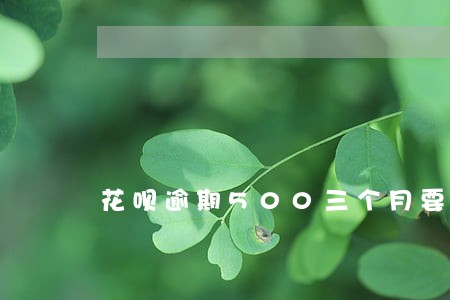 花呗逾期500三个月要还多少 花呗逾期500三个月要还多少