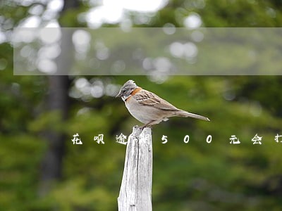 花呗逾期500元会打通讯录吗 花呗逾期500元会打通讯录吗