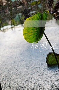 花呗逾期500元半年 花呗逾期500元半年
