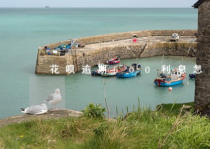花呗逾期500利息怎么算 花呗逾期500利息怎么算