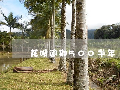 花呗逾期500半年 花呗逾期500半年